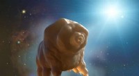 Tardigrades Journey Beyond Earth: Pioneering Interstellar Missions