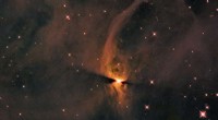 Hubble Reveals New Protostar Forming in IC 2631