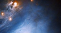 Hubble Captures Protostar in IC 2631: Reflected Starlight Illuminates Star Formation