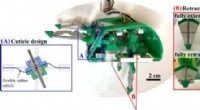 EMBUR: A Groundbreaking Burrowing Robot Inspired by the Pacific Mole Crab