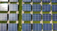 Maximizing Rooftop Solar: Strategic Recommendations for a Robust EU-Wide Mandate