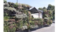 Nature-Based Solutions Drive Greener Urban Renewal