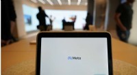 Meta Records First Revenue Decline in Company History