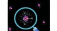 MIT Scientists Uncover Surprising Nucleus Behavior at Neutron Magic Number 82