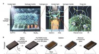 Stabilizing Solar Water‑Splitting Photoelectrodes with Transparent Hydrogels