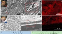 Block Copolymer Electrolytes Enable Stable Sodium Metal Batteries