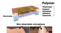 New Skin-Attachable Acoustic Sensor Mimics Human Hearing for Enhanced Voice Recognition