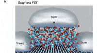 Fermi-Level Tuning: Enhancing Stability in 2D Graphene Field-Effect Transistors