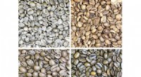 Android App for Precise Coffee Bean Roast Evaluation