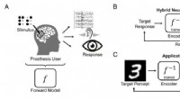 Enhancing Sensory Neuroprostheses with Neural Autoencoder Innovation