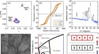 Antiferroelectric PbZrO3 Films: Breakthrough in Solid-State Thermal Technology