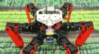 Revolutionary Insect-Inspired AI Enhances Autonomous Robot Navigation