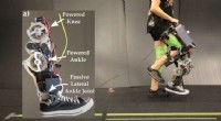 Natural Walking Assistance: Integrating Hybrid Zero Dynamics with Musculoskeletal Models