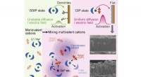 Tohoku Researchers Add Multivalent Cations to Eliminate Common Pitfalls in Rechargeable Batteries