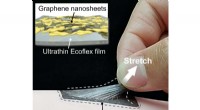 Biomimetic Skin with SPS Effect Dynamically Transforms Touch into Pain Perception
