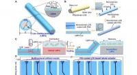 Advanced Self‑Sensing Artificial Muscle: Liquid Crystal Elastomer Meets Low‑Melting‑Point Alloys