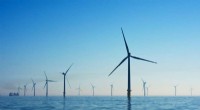 Potential Impact of Offshore Wind Farms on Marine Mammal Behavior