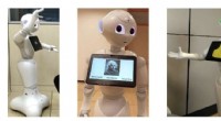Humanoid Robot Interaction with Seniors: A Study on Cognitive and Emotional Responses