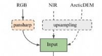 AI-Powered Tree Height Estimation for Ecological & Forestry Applications