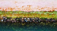 Improving Maritime Sustainability: Air Layer Technology to Combat Biofouling and Enhance Fuel Efficiency