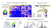 Advanced Technique for Programming Robots to Replicate Human and Animal Movements