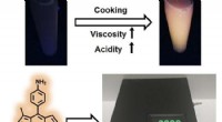 Innovative Portable Fluorescent Probe for Sensitive Detection of Bad Cooking Oil