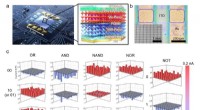 Ultra-High-Speed, High-Efficiency OELGs from Organic-Inorganic Perovskite Photodiodes