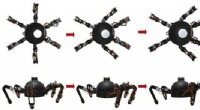 ALLOMAN: A Novel Leg-Arm Integrated Hexapod Robot for Versatile Manipulation