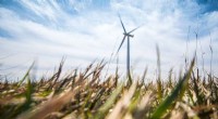 U.S. Wind Energy Expansion: Key Trends in Technology and Sustainable Land Use for Decarbonization