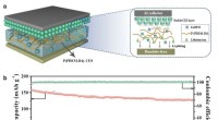Innovative In-Situ Composite Solid-State Electrolyte for Safer High-Voltage Lithium Metal Batteries