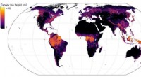ETH Zurich s AI Breakthrough: First High-Resolution Global Tree Height Map from Satellite Imagery