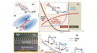 Energy-Efficient Synaptic Memory: A Nature-Inspired Approach for AI