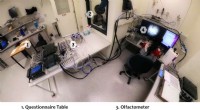 VR Immersion Boosted by Smell: Research on Enhanced Realism