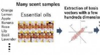 Innovative Multicomponent Olfactory Display for Precise Scent Recreation