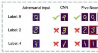 RAILS: Immune-Inspired Algorithm for Hack-Resistant Deep Neural Networks
