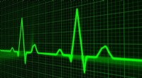 Heartbeat Biometrics: Novel Algorithm Achieves Unique Human Identification