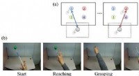 Brain-Computer Interface Breakthrough: Decoding Neural Signals for Robotic Arm Control in 3D Space