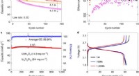Next-Generation Aqueous Electrolyte: Sustainable Alternative to Organic Lithium-Ion Batteries