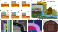 Ultra-Small MoS2 Transistors: Achieving Sub-1nm Gate Lengths