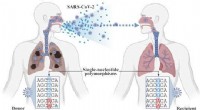 Variabel: AI Identifies Low-Frequency SARS-CoV-2 Variants