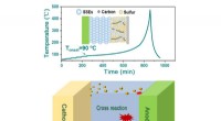 Investigating Thermal Runaway Mechanisms in Lithium-Sulfur Batteries