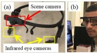 Virtual Eyes: AI Simulates Human Eye Movement for Metaverse Training