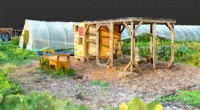 Virtual Reality Farm Tours: Enhancing Urban Agriculture Access and Learning