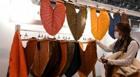 Sustainable Fashion Revolution: Innovations from Banana Leather to Fish Scale Textiles