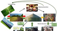 New Study: Prioritizing Waste Prevention Outperforms Biogas for Climate Goals