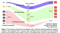 Study Reveals Higher Toxicity in Home Stove Smoke Compared to Power Plant Emissions