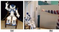 Study Shows Humans Unconsciously Synchronize Movements with Robots