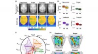 KAIST s AI-Powered Near-Infrared Light-Field Camera Accurately Detects 3D Facial Expressions