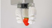 NUS Engineers Develop Reconfigurable Soft Robotic Gripper for Commercial Food Handling