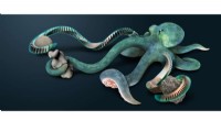 Biomimetic Air-Powered Tentacle Robots for Safe Soft Object Handling